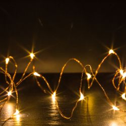 Đèn thủy sinh icon danh mục