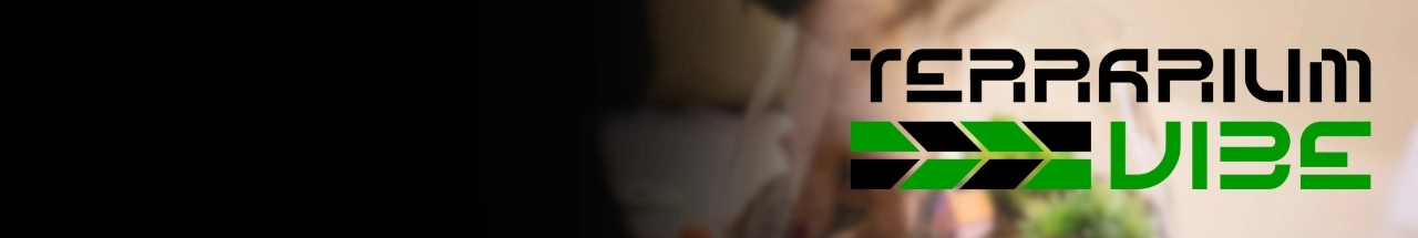 about terraiumvibe brand