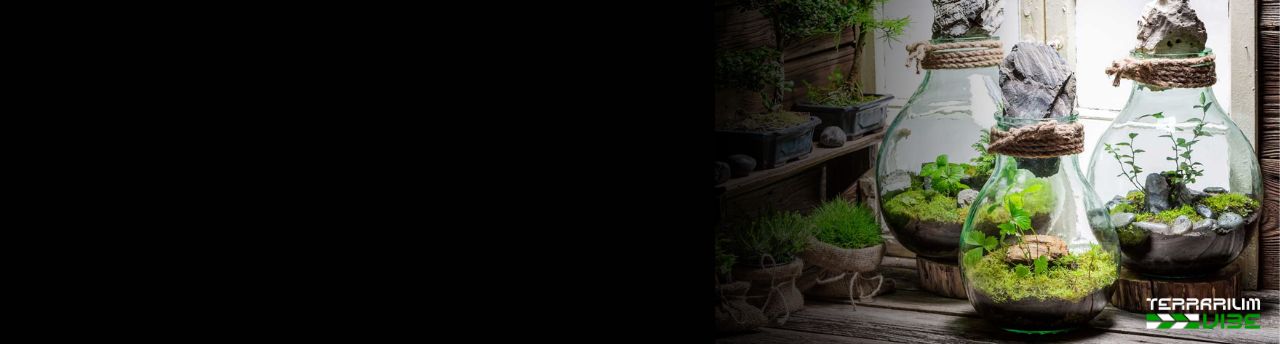 What is terrarium cover header
