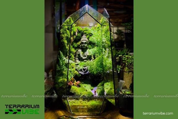 Rêu tường 4 Những lưu ý khi chăm sóc rêu trong bình terrarium