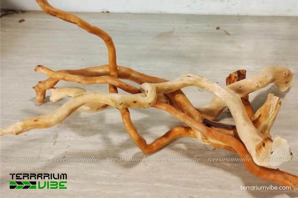 Lũa Đỗ Quyên 3 Những đặc tính của lũa Đỗ Quyên trong làm tiểu cảnh