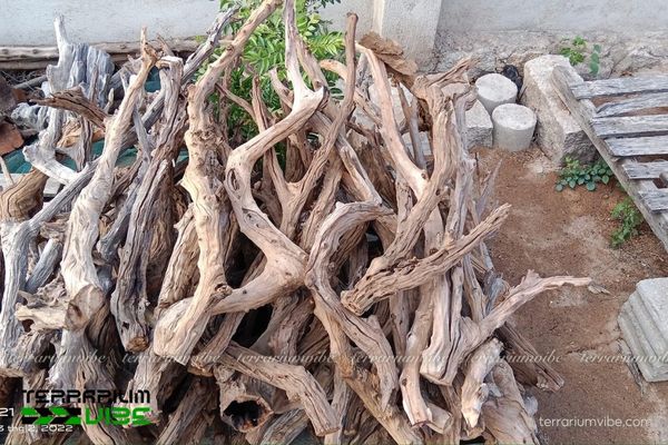 Lũa San Đá 2 Sự hình thành của lũa San Đá trong tự nhiên