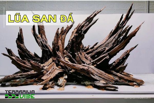 lua-san-da Lũa San Đá