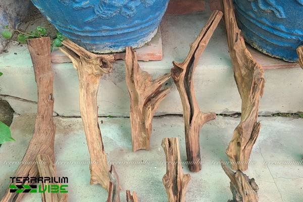 Lũa Căm Xe 3 Điểm đặc trưng của lũa Căm Xe trong thiết kế hồ cạn