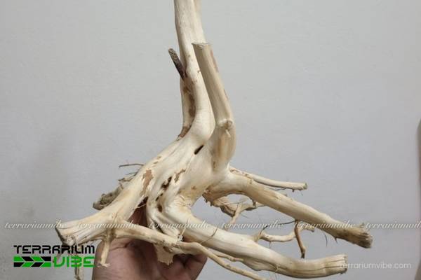 Lũa Hải Sơn Qùy 1 Tìm hiểu lũa Hải Sơn Qùy là gì?