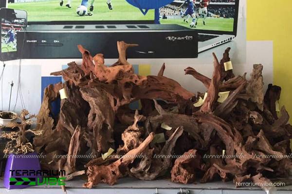 Lũa Sầm Đỏ 1 Tìm hiểu về Lũa Sầm Đỏ là gì?