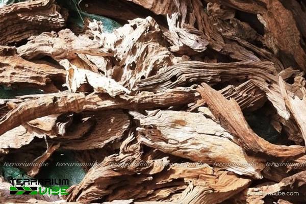 Lũa Sầm Đỏ 2 Nguồn gốc hình thành của lũa Sầm Đỏ