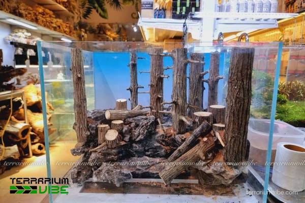 Lũa Thạch Sùng 2 Nguồn gốc hình thành của lũa Thạch Sùng