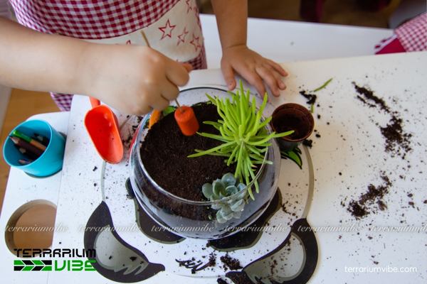 Hướng dẫn cơ bản kỹ thuật trồng cây thủy sinh trong bình kính