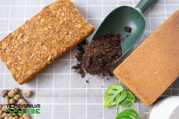 Nguồn gốc của giá thể trong trồng trọt