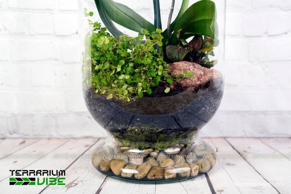 Những lợi ích mà giá thể mang lại trong làm tiểu cảnh