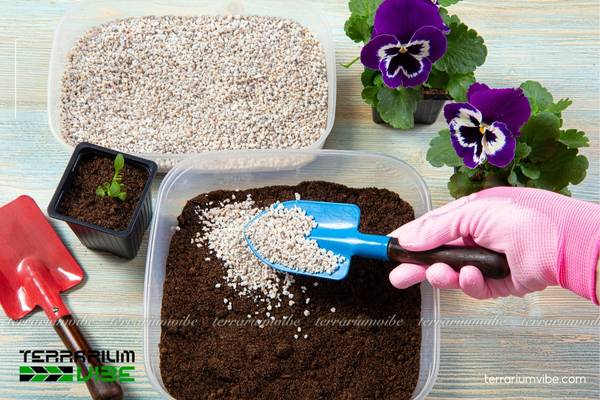 Gợi ý một số công thức cơ bản trong phối trộn giá thể