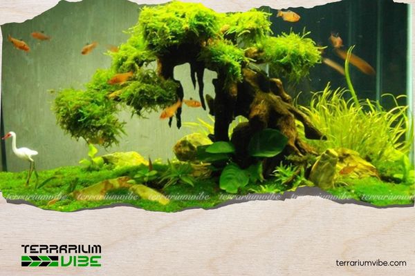 The crucial role of beneficial bacteria in aquariums: What you might not know 1 What are beneficial bacteria?