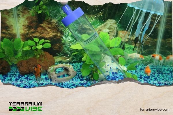 Cần làm gì khi nước hồ thủy sinh mới setup bị đục 2 Xử lý nước với tình trạng đục do chất nền