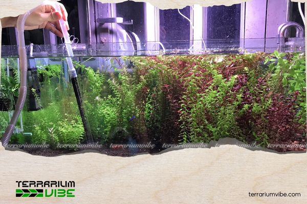 Cần làm gì khi nước hồ thủy sinh mới setup bị đục 4 Lưu ý với nguồn nước đầu vào