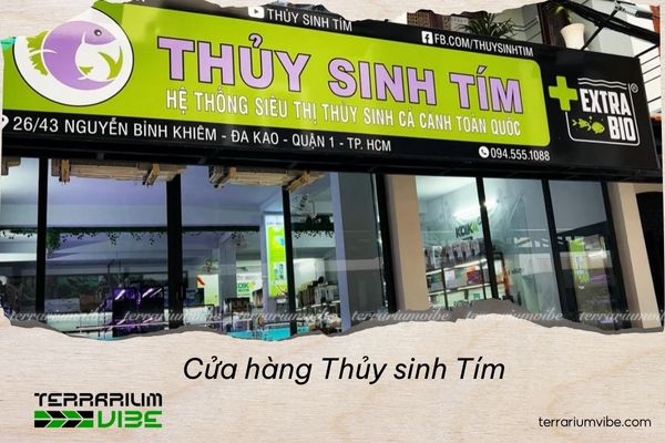 Tổng hợp 5 cửa hàng thủy sinh TPHCM giá rẻ uy tín cho hội mê cây cảnh 2 Cửa hàng Thủy sinh Tím
