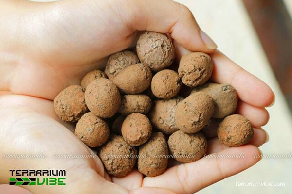 Giá thể đất sét 1 Tìm hiểu đặc điểm của giá thể đất sét