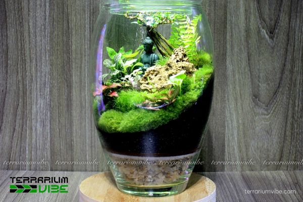 Giá thể trấu hun 3 Tác dụng của giá thể trấu hun trong terrarium