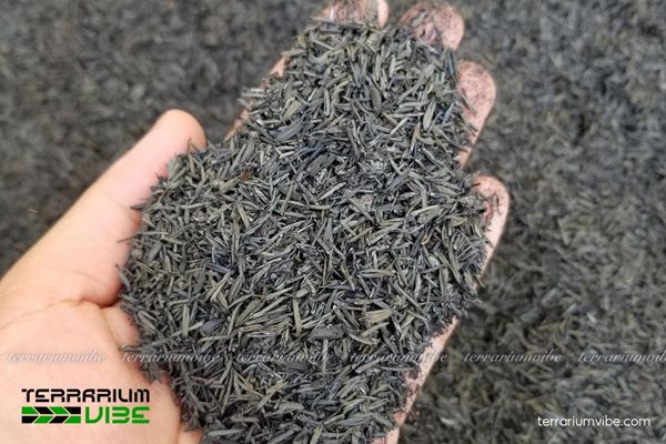 Giá thể trấu hun 5 Cách xử lý giá thể trấu hun trước khi sử dụng làm tiểu cảnh