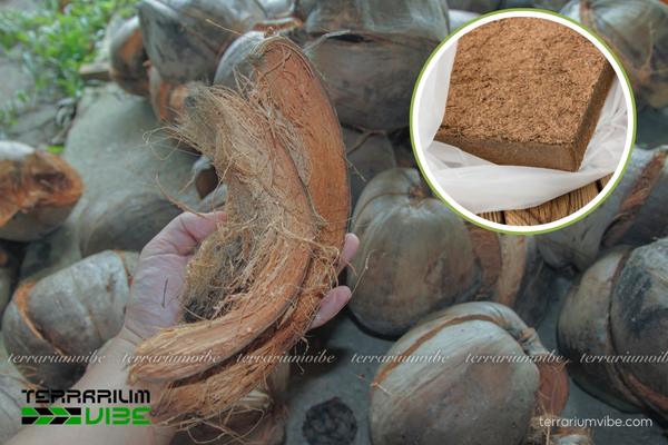 Giá thể xơ dừa 3 Qúa trình hình thành và đóng gói giá thể xơ dừa