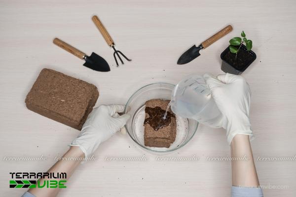 Giá thể xơ dừa 7 Hướng dẫn xử lý giá thể xơ dừa trước khi sử dụng