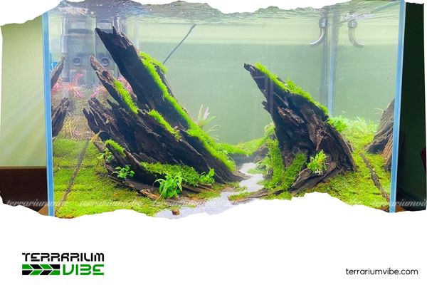 Creative and stunning ways to set up a 60x40x40 aquarium 3 Style 2: Iwagumi layout