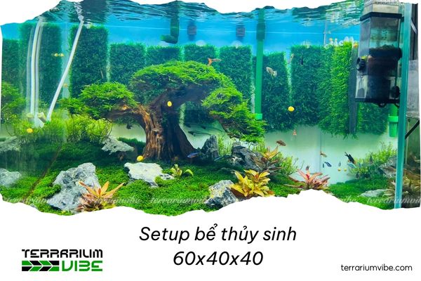 Creative and stunning ways to set up a 60x40x40 aquarium 4 Style 3: Nature aquarium