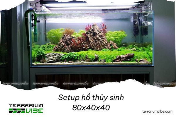 Hướng dẫn setup hồ thủy sinh 80x40x40 độc đáo, ấn tượng 2 Phong cách thiên nhiên