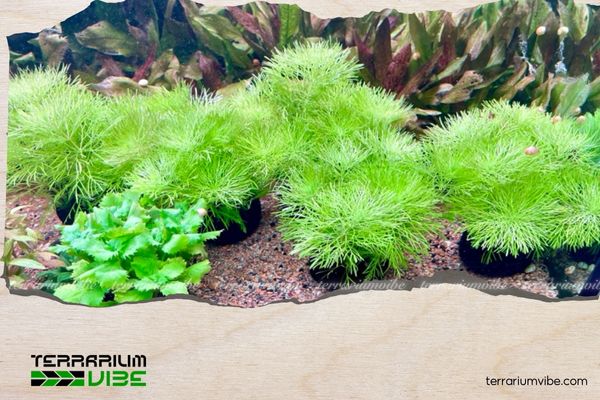 Tiểu Bảo Tháp 1 Thông tin học thuật về Tiểu Bảo Tháp là gì?