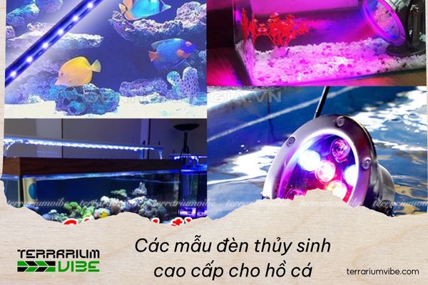 Top high end aquarium LED lights that are highly rated and worth buying 1 Criteria for choosing high end aquarium LED lights