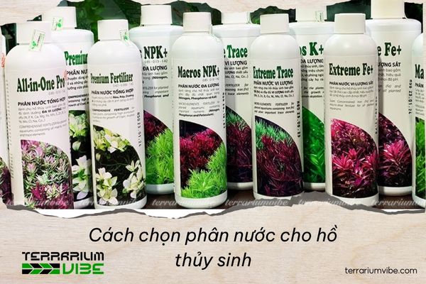 Cách chọn phân nước cho hồ thủy sinh