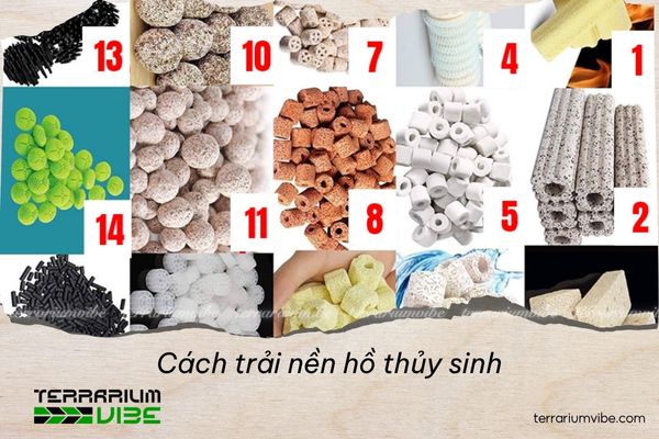 Cách chọn vật liệu lọc phù hợp cho bể thủy sinh: 3 nguyên tắc bạn nên biết