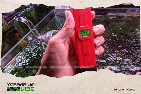 Toàn tập cách điều chỉnh pH cho hồ thuỷ sinh bảo vệ hệ sinh thái trong bể của bạn 3 Cách điều chỉnh pH cho hồ thuỷ sinh bằng phương pháp tự nhiên