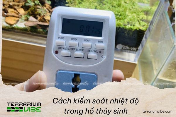 Cách kiểm soát nhiệt độ trong hồ thủy sinh và những yếu tố người chơi không nên bỏ qua 1 Nguyên nhân gây mất ổn định nhiệt độ