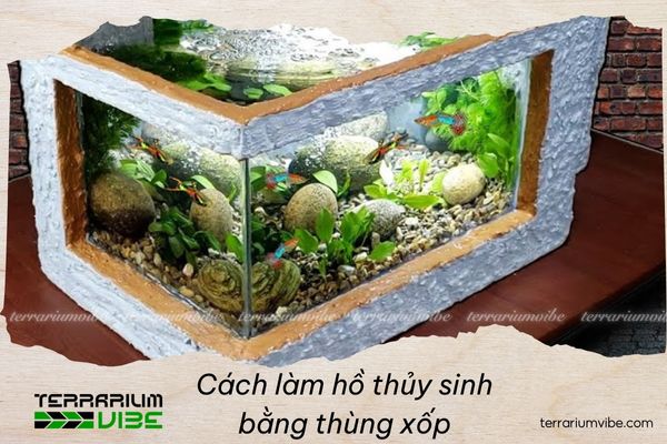 How to make a styrofoam box aquascape that’s eye-catching, simple, and budget-friendly 1 The surprising potential of styrofoam boxes