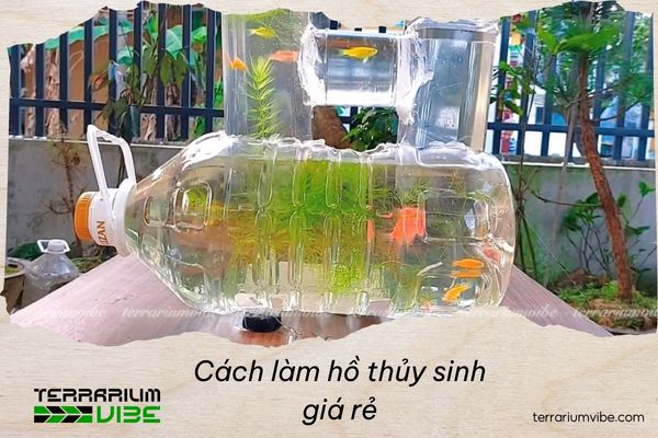 How to build a budget-friendly aquascape that still looks stunning 1 Core elements of a budget-friendly aquascape