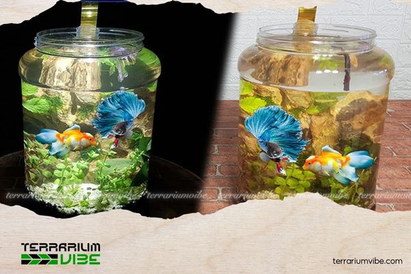 How to build a budget-friendly aquascape that still looks stunning 2 How to build a budget-friendly aquascape that’s both beautiful and smart