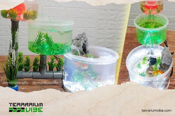 How to build a budget-friendly aquascape that still looks stunning 3 How to keep your aquascape lush with minimal maintenance