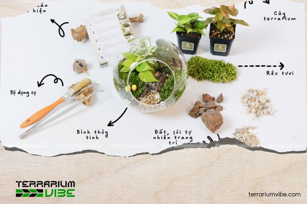 Hướng dẫn cách làm Terrarium đơn giản tại nhà cho người mới bắt đầu 3 Một số nguyên liệu làm Terrarium