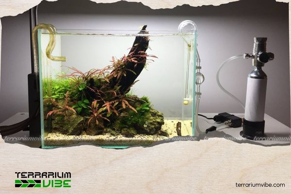 Hướng dẫn cách sử dụng bình CO2 cho hồ thuỷ sinh hiệu quả từ A-Z 2 Một số thiết bị hỗ trợ khi dùng bình CO2