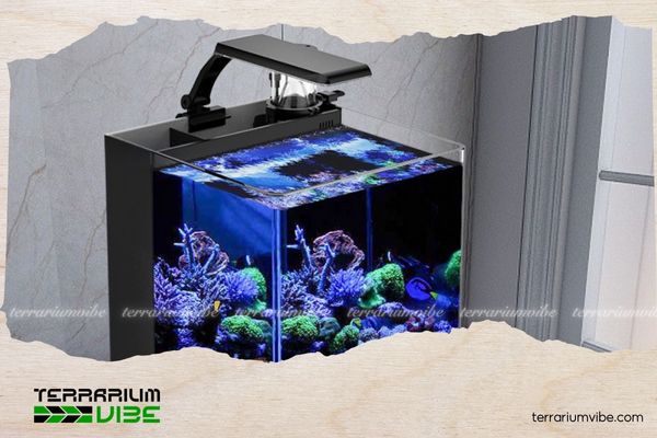 A detailed guide on how to use UV light for aquariums and important considerations 4 Should UV light be turned off when feeding fish