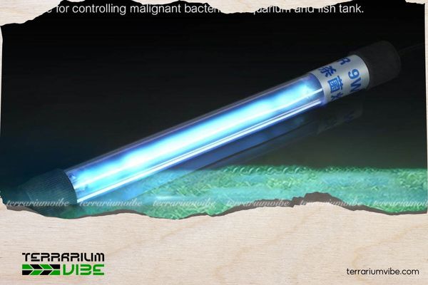 How to Use UV Light in a Planted Tank the Right Way 2 Một số loại đèn UV phổ biến