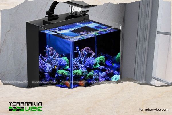 How to Use UV Light in a Planted Tank the Right Way 3 Cách sử dụng đèn UV trong hồ thủy sinh đúng cách