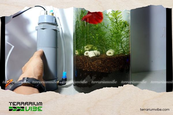 Hướng dẫn cách tính số lít của hồ thủy sinh đơn giản cho người mới 1 Việc tính dung tích hồ thủy sinh mang lại nhiều lợi ích