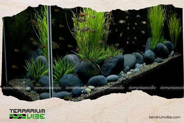 Cách xử lý đá cho bể thuỷ sinh để tạo nền tự nhiên và sạch đẹp 3 Quy trình xử lý đá chuẩn trước khi đưa vào bể