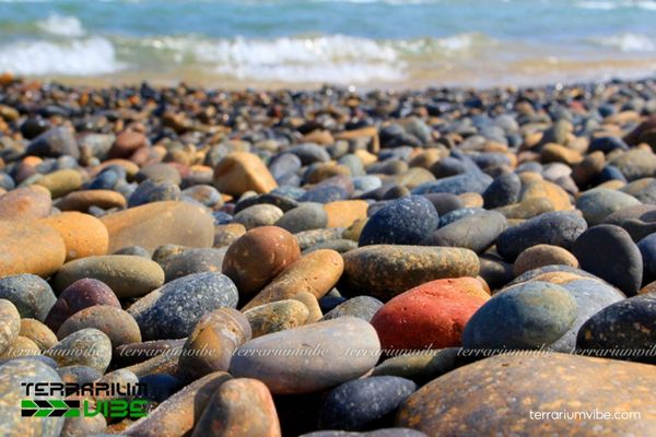 Đá cuội 1 Tìm hiểu về đặc điểm của đá cuội