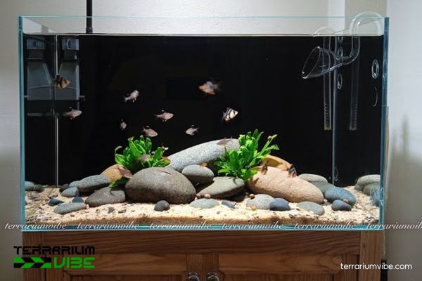 Đá cuội 3 Đặc tính của đá cuội trong thiết kế tiểu cảnh