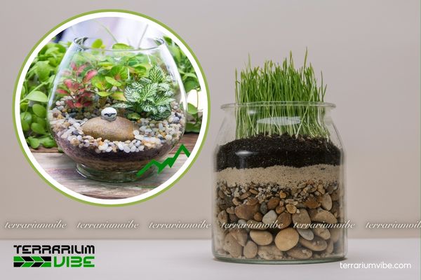 Đá cuội 4 Cách sử dụng hiệu quả đá cuội trong thiết kế terrarium