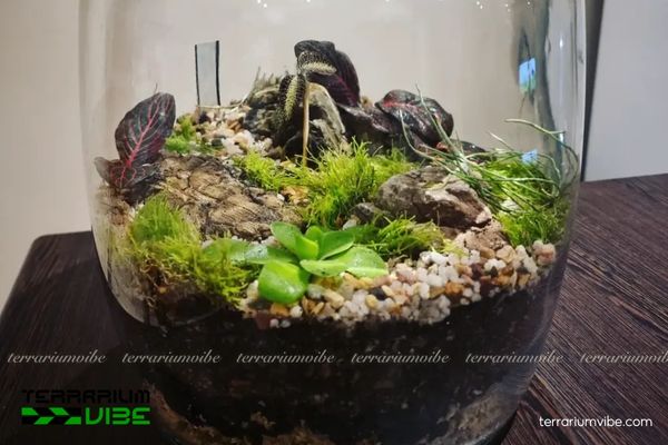 Đá da voi 5 Cách xử lý đá da voi trước khi sử dụng trong terrarium