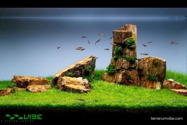 Đá gỗ hóa thạch 3 Tính chất nổi bật của đá gỗ hóa thạch khi dùng làm tiểu cảnh